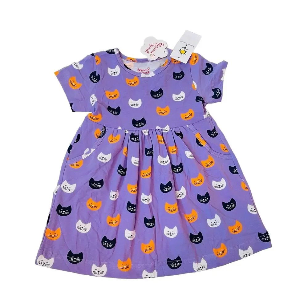 NWT Blossom + Sprout 2T Curious Cats Knit Dress
